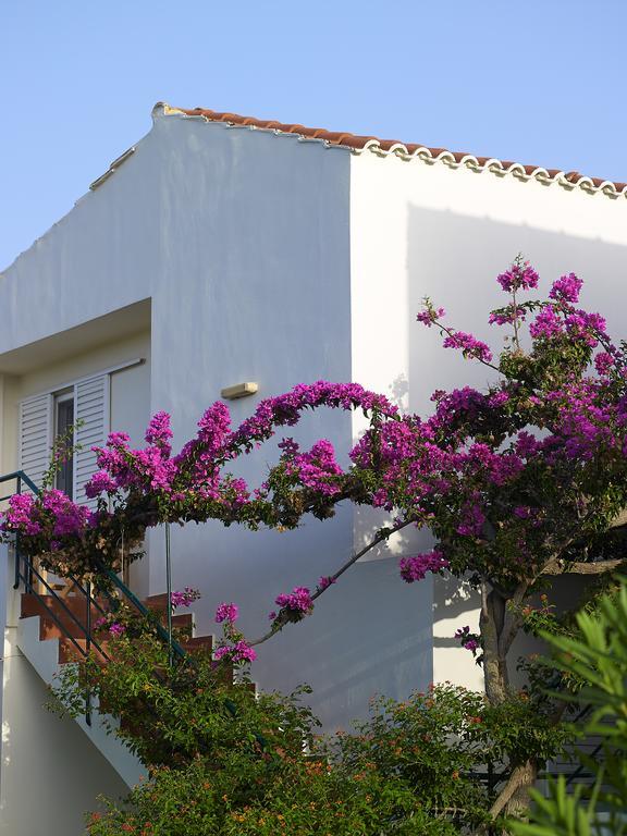 Mousses Apartments & Studios Kíssamos Rum bild
